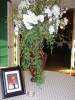 DSC02934.JPG