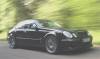 Mercedes2005brabuse.jpg