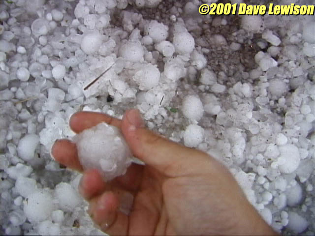 530golfball