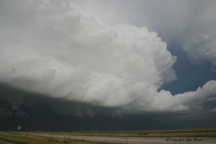Amarillo_031a