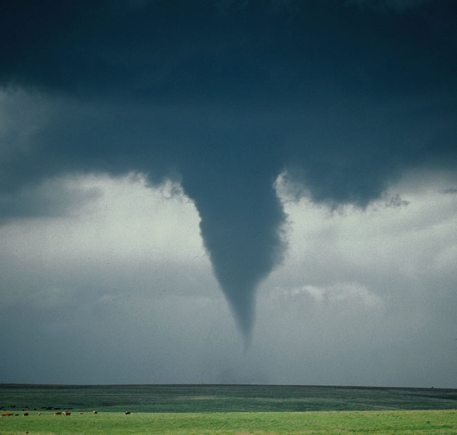 neal-tornado-4