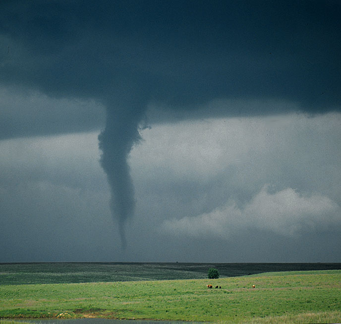 neal-tornado-7