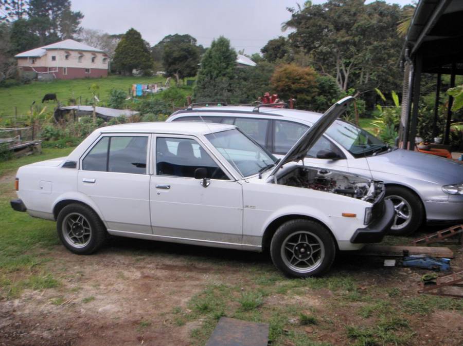 bonnet1.JPG