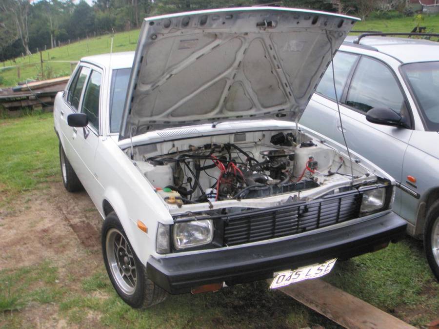 bonnet2.JPG