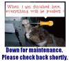 twitter-maintenance.JPG