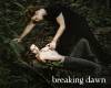 twilight-breaking-dawn.jpg