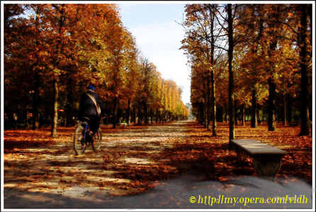 Autumn-vldh
