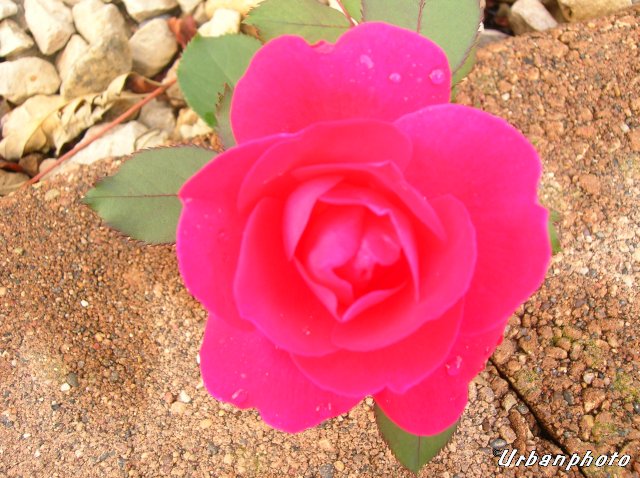 B0003252