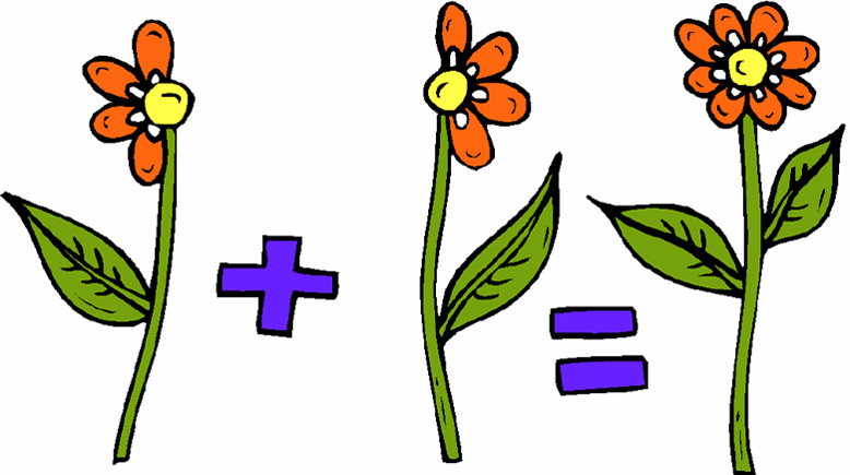 Flowers-838