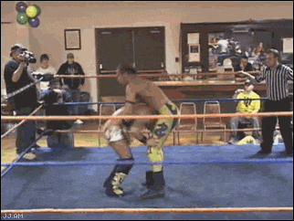 prowrestling_is_pro