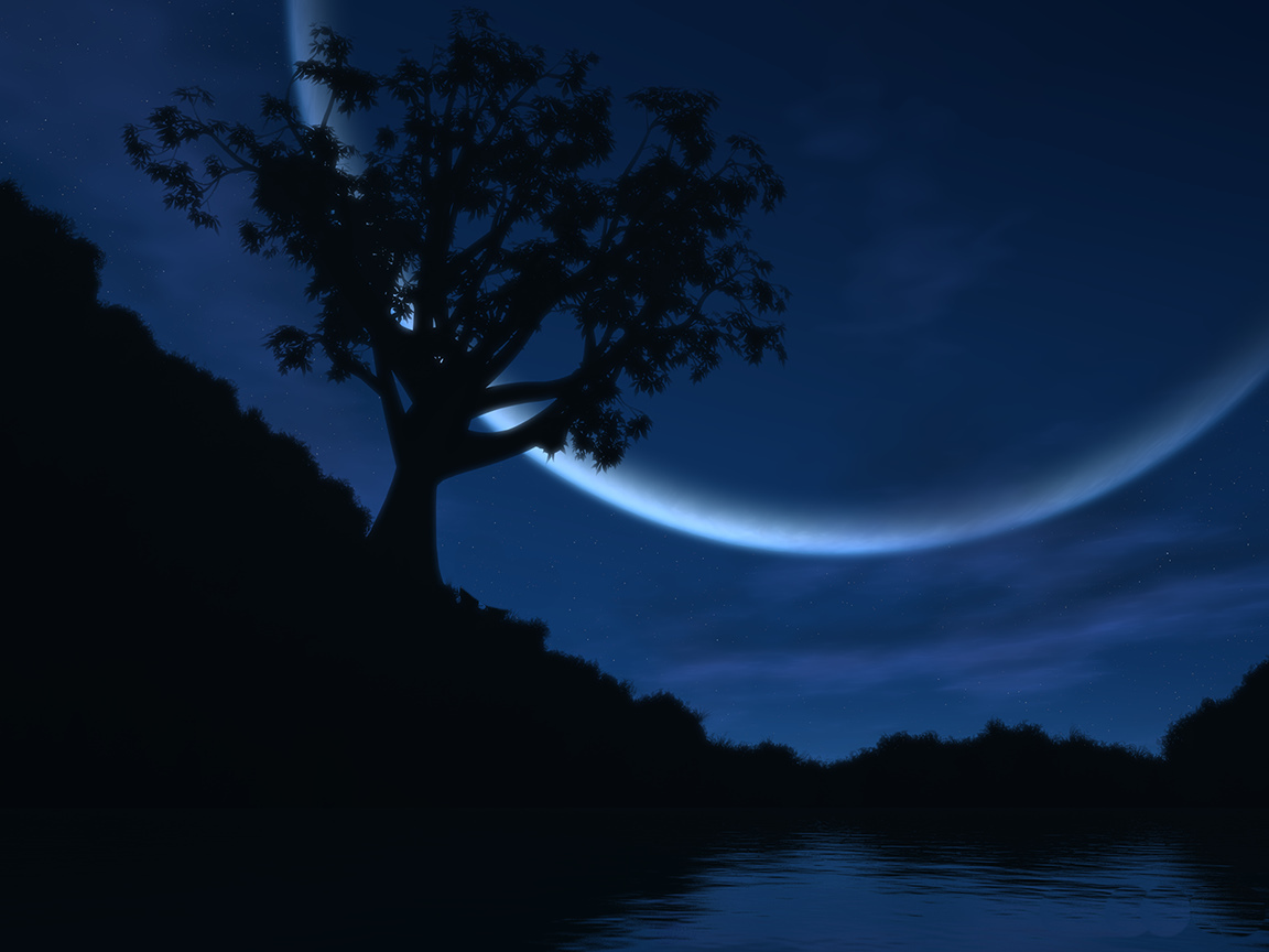 reverie