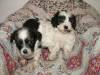 2007_1012Image0005.JPG