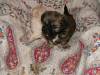 2007_1012Image0012.JPG