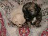 2007_1012Image0015.JPG