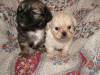 2007_1012Image0020.JPG