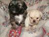 2007_1012Image0021.JPG