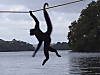 200px-Ateles_PrimatesOfPanama.jpg