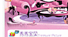 209342603223064_07.gif