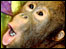 41437595_closeup_66pic.jpg