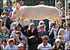 42131060_afp_pig416_1_.jpg