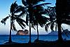 47023_poster2000.jpg