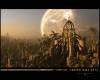 Above_The_Rest_2007_Wp.jpg