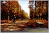 Autumn-vldh.jpg