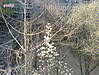 DSC00007.jpg