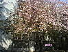 DSC000361.jpg