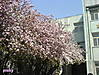 DSC000371.jpg