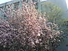 DSC000391.jpg