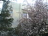 DSC00042.jpg