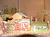 DSCF0005.JPG