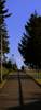 DSCN2247_ps.JPG