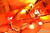 Dommi_in_the_potti_session1_11_.jpg
