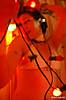 Dommi_in_the_potti_session1_22_.jpg