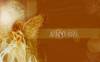 angel1.jpg