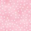 background27.jpg