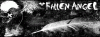 banner3.gif