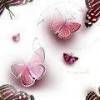 butterflies-3.jpg