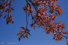 image_0358.JPG
