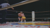 midget_wrestling_b.gif