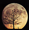 moon.jpg