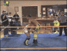 prowrestling_is_pro.gif