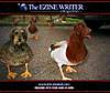 -_Bird_Dogs_002_-.jpg