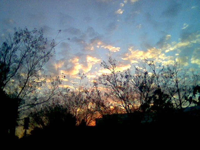 Image005