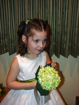 DSC03661_alt