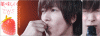 33609_33683_.gif