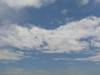 080728_31354_.jpg