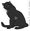 Panther4.jpg
